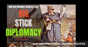 Roosevelt's Big Stick Diplomacy: A Forceful Foreign Policy