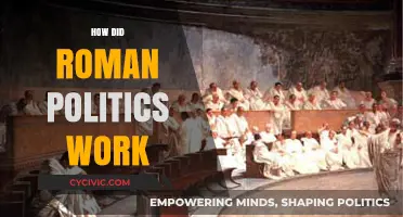 Understanding the Complexities of Roman Political Systems and Governance