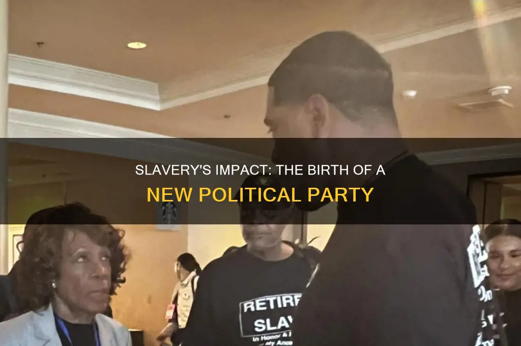 how did slavery bring about a new political party