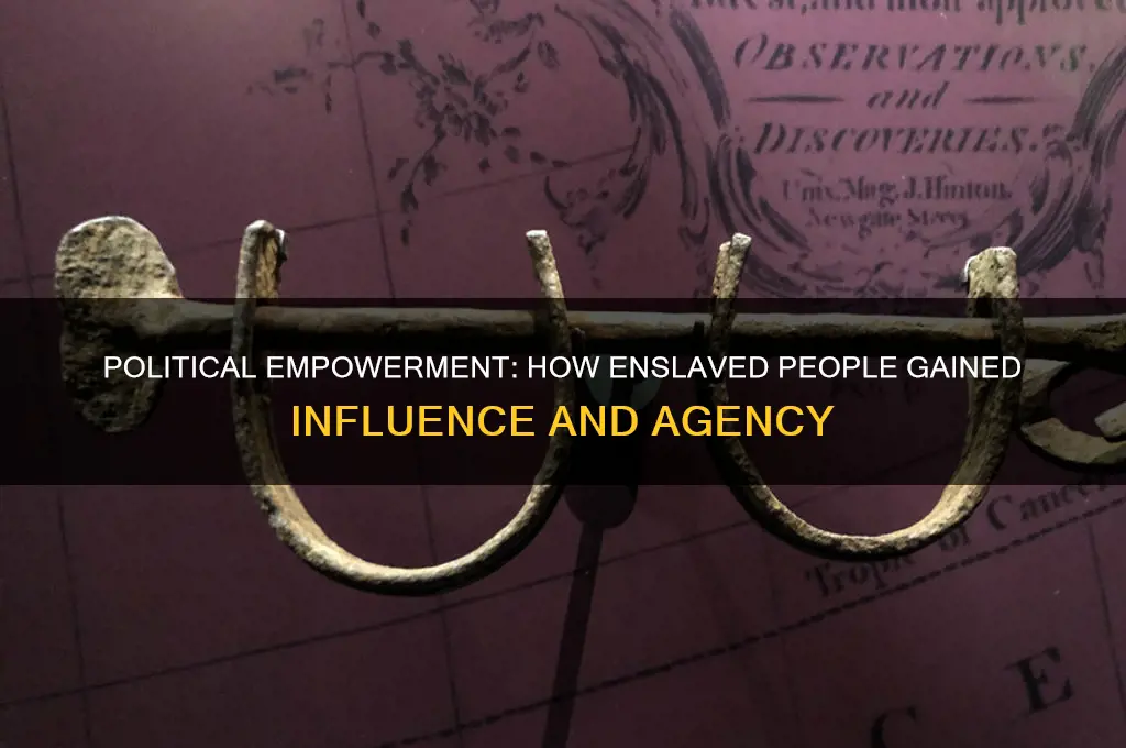 how did slaves benefit politically