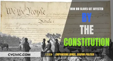 Constitution's Impact: Slaves' Plight and the American Dream