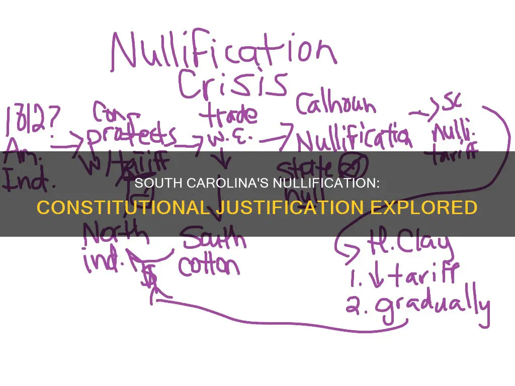 how did south carolina justify nullification on constitutional gorunds