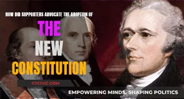 Advocating for Change: Constitution Supporters' Strategies