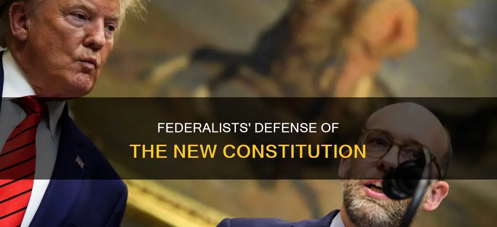 how did supporters of the constitution defend the new
