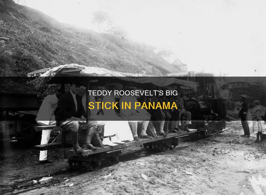 how did teddy roosevelt use big stick diplomacy in panama