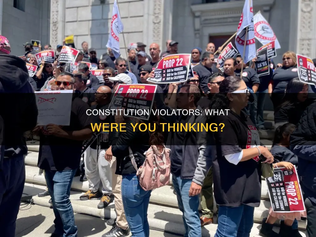 how did that work for you constitution violators