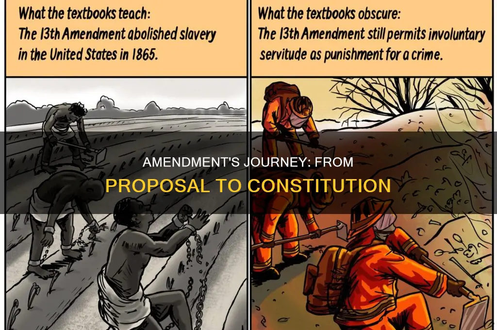how did the 13th amendment became part of the constitution