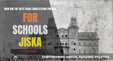 Texas Constitution's Education Vision: Schools for All