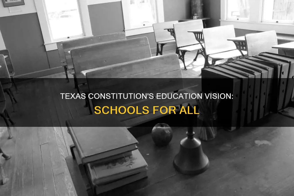 how did the 1876 texas constitution provide for schools jiska