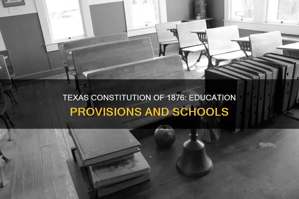 how did the 1876 texas constitution provide for schools