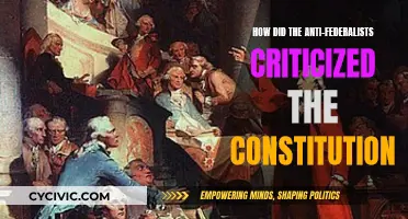 Anti-Federalists' Critique of the Constitution: Key Arguments