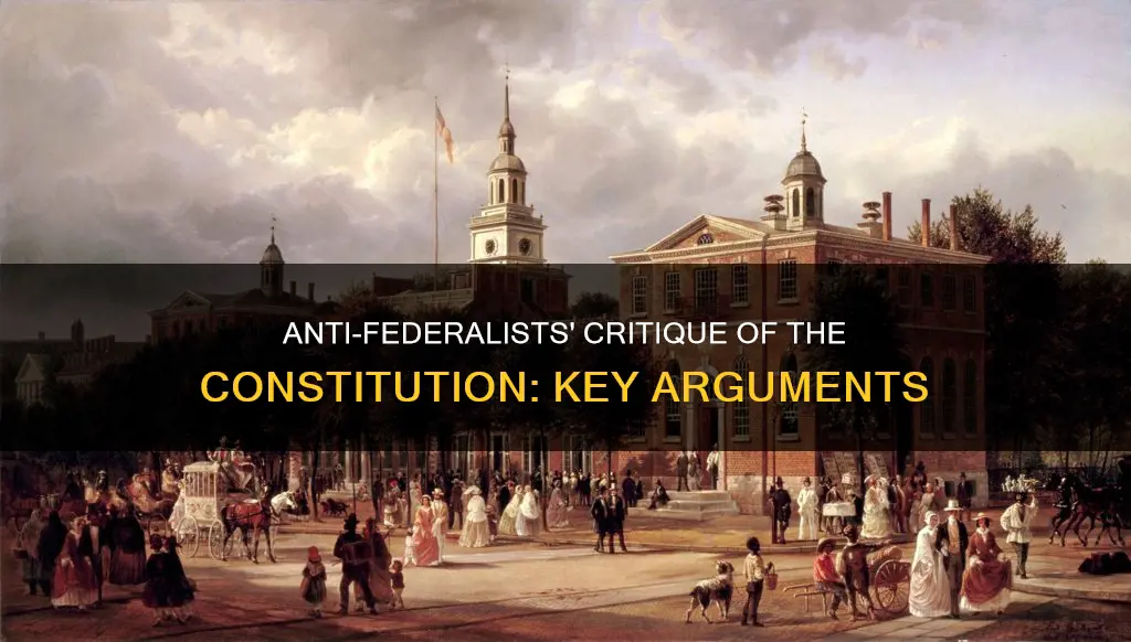 how did the anti-federalists criticized the constitution