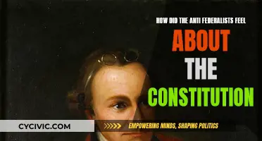 Anti-Federalists' Constitution: A Reluctant Acceptance?