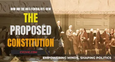 Anti-Federalists' View of the Constitution: A Critical Perspective