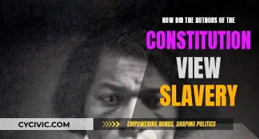 Constitution Authors' Views on Slavery