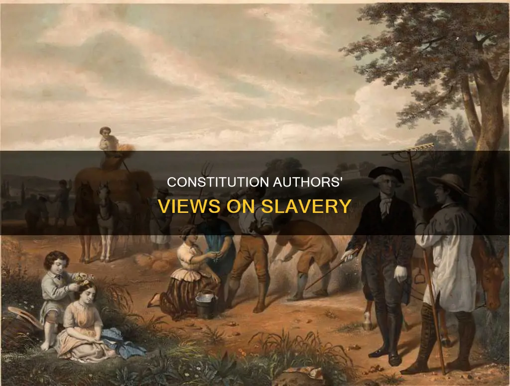 how did the authors of the constitution view slavery
