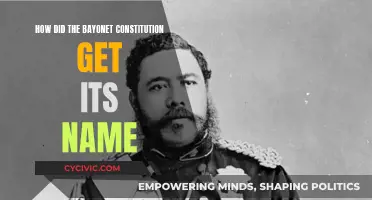 The Bayonet Constitution: A Historical Coercion