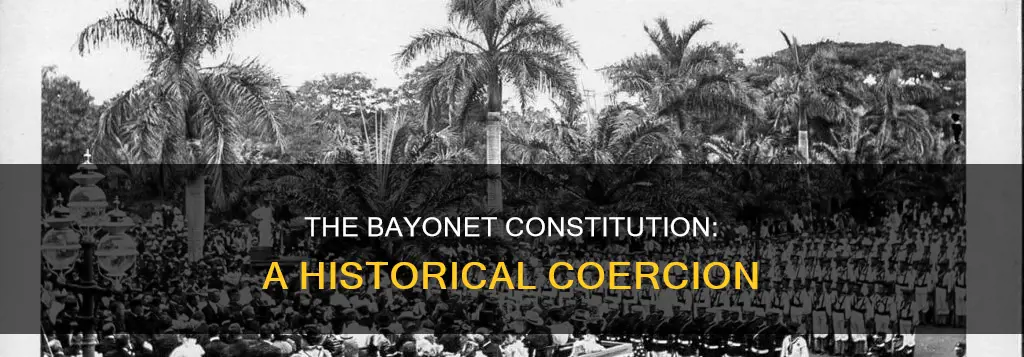 how did the bayonet constitution get its name