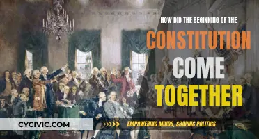 The Constitution's Formative Years: How Did It Begin?