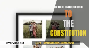The Big Four's Influence on the Constitution