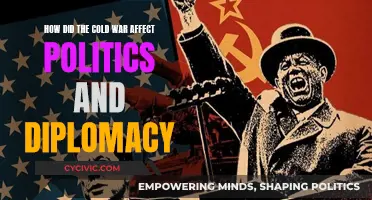 Cold War's Impact: Politics and Diplomacy Transformed