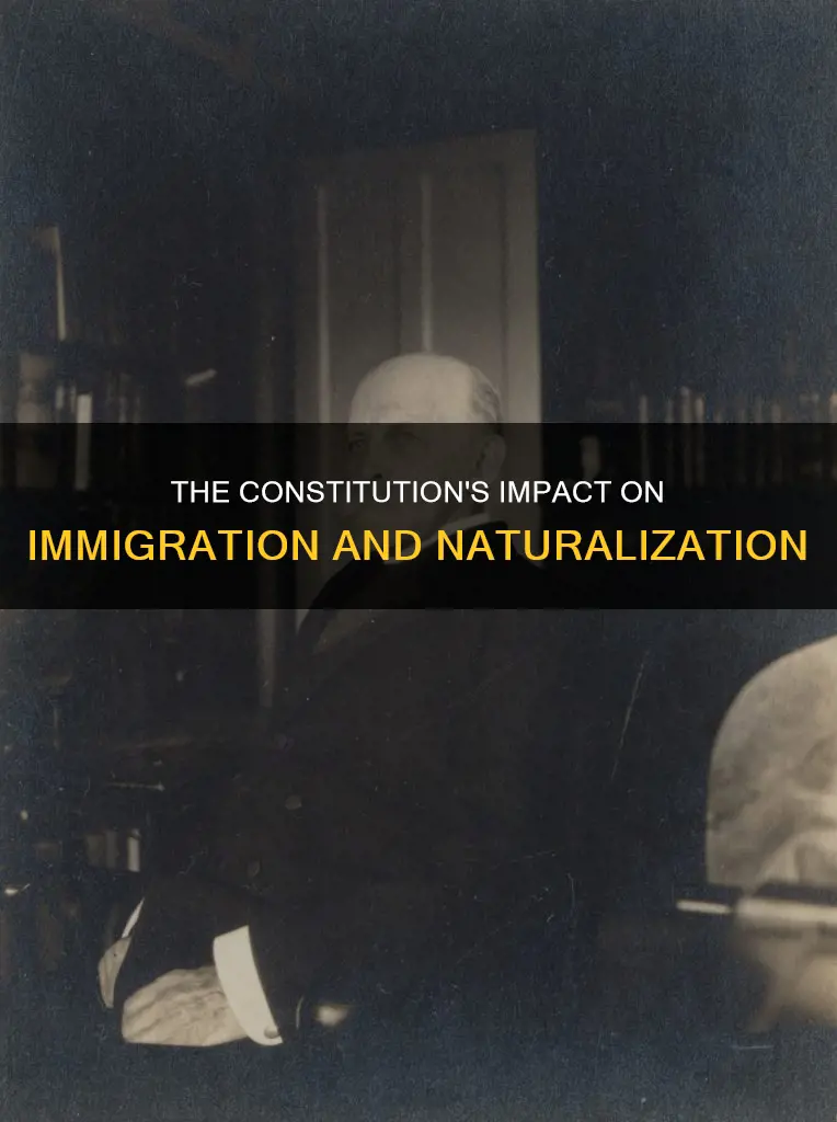 how did the constitution affect immigration and naturalization