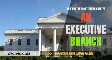 The Executive Branch: Constitution's Vision and Legacy