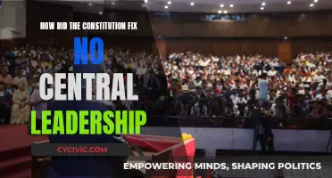 The Constitution: Central Leadership Solution