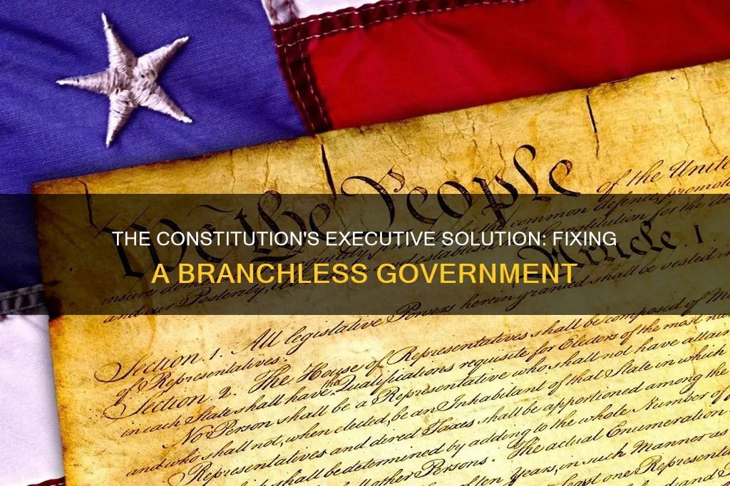 how did the constitution fix no executive branch