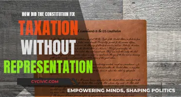 Understanding the Constitution: Fixing Taxation Without Representation