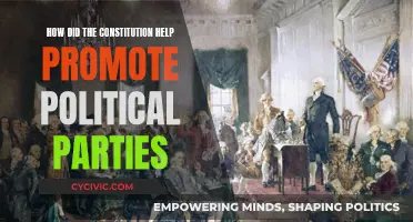 Constitution's Role in Political Party Promotion
