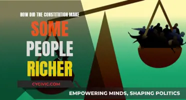 The Constitution's Wealth Divide: Power and Money