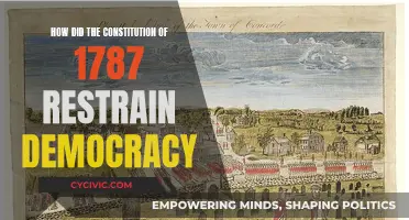 Founding Fathers: Democracy's Friend or Foe?