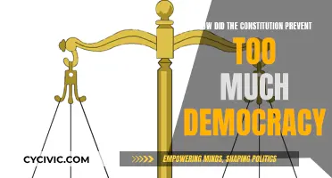 The Constitution: Guarding Against Excessive Democracy