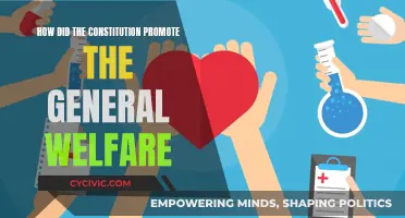The Constitution's Welfare Promise: A Foundation for All