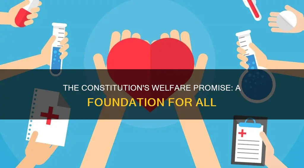 how did the constitution promote the general welfare