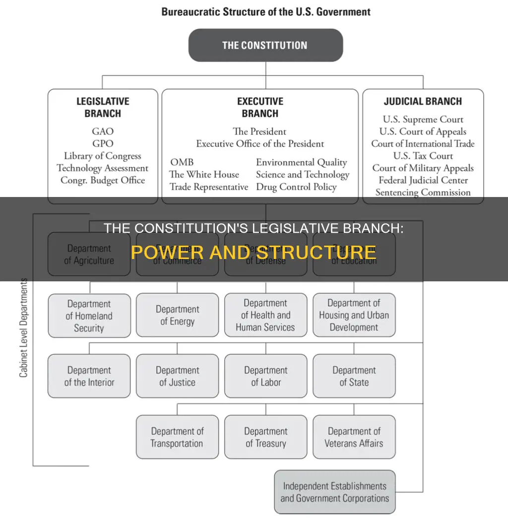 how did the constitution set up the legislative branc