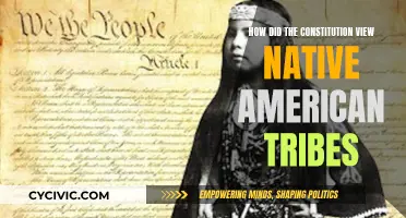 The Constitution's Native American Tribal Recognition