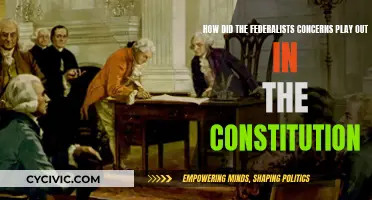 Federalist Constitution: Concerns and Realities