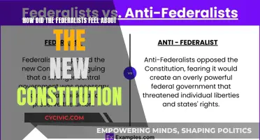Federalists' View on the New Constitution: A Positive Outlook