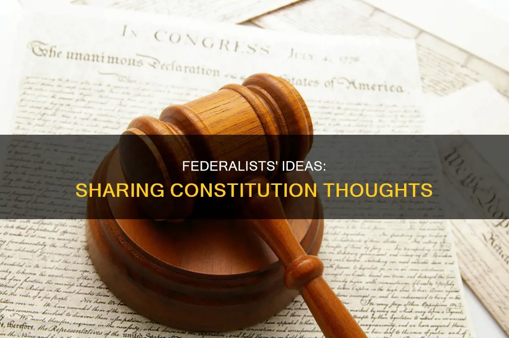 how did the federalists share their ideas about the constitution
