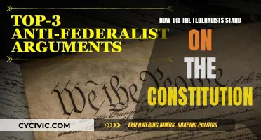 Federalists' Constitution Stance: A Historical Perspective