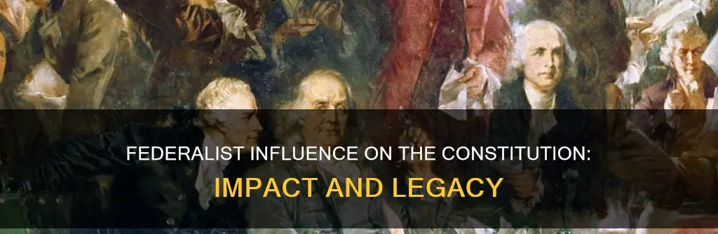 how did the ferderalist viewpoints reflect on the constitution