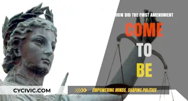 The First Amendment: A Historical Perspective