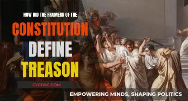 Founders' Definition of Treason: Explained
