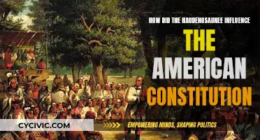 The Haudenosaunee's Influence on the American Constitution