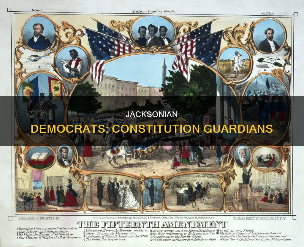 how did the jacksonian democrats guard the constitution