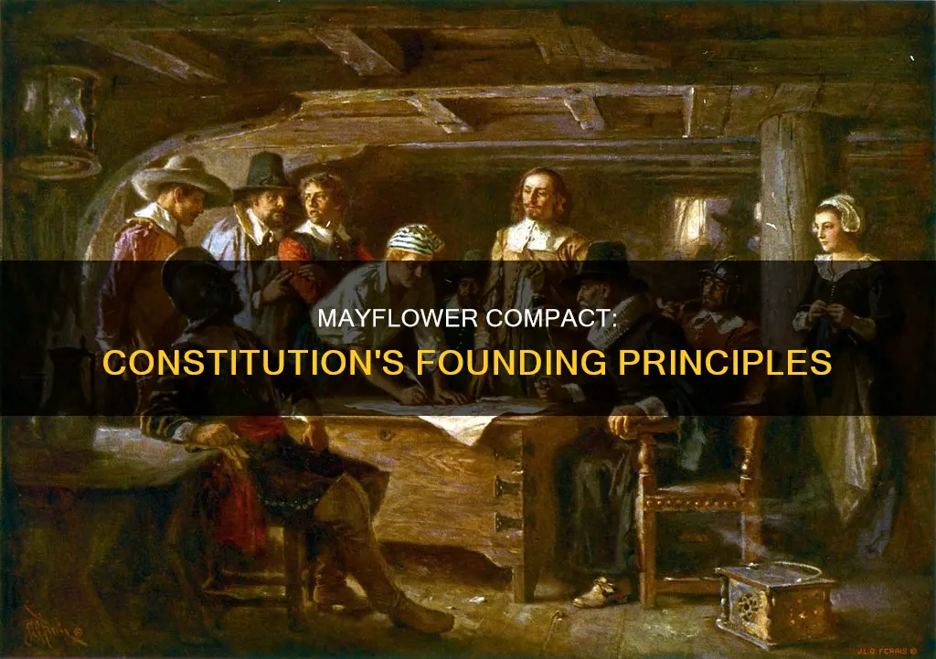 how did the mayflower compact affect the constitution