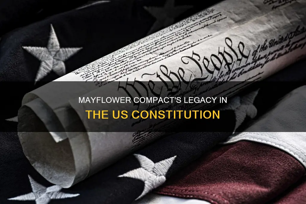 how did the mayflower compact influence the constitution