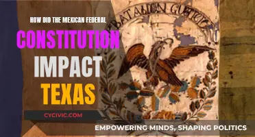 Mexican Constitution's Impact on Texas: A Historical Overview